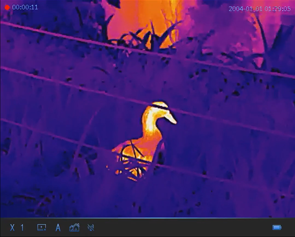 How Thermal Scopes Work: A Comprehensive Guide