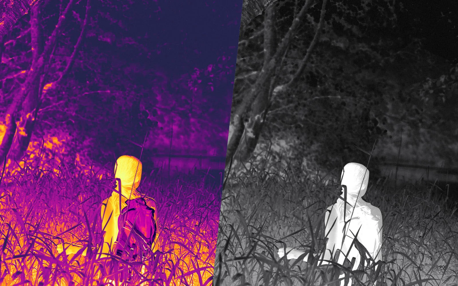 How night vision and thermal scopes work in rain